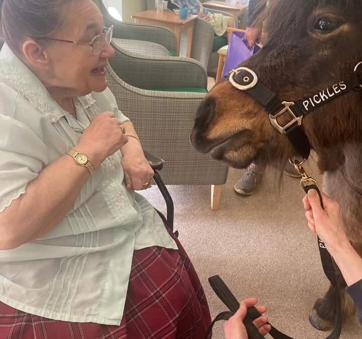 Milford Lodge Care Home
