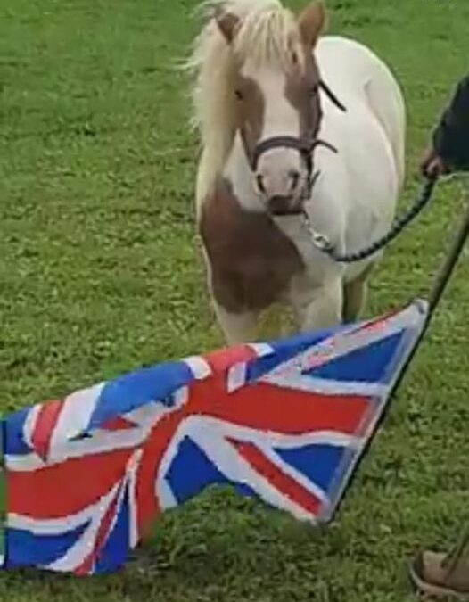 Jubilee