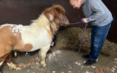 Clipping time!