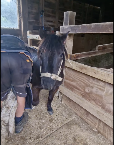 Farrier John