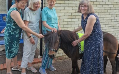 Ravensdon WI